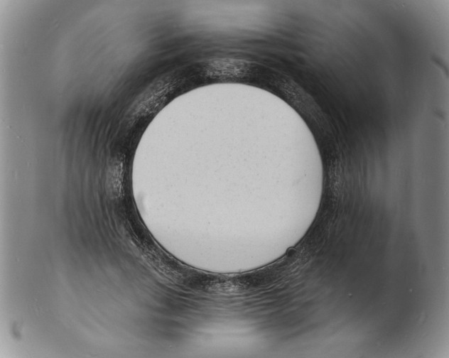 X0000102220735200808221245