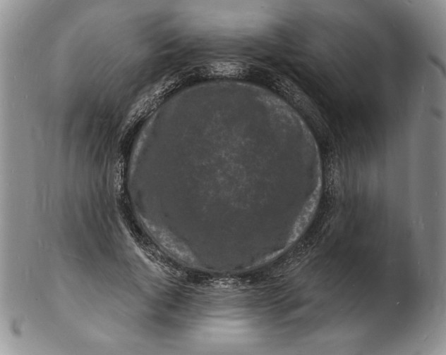 X0000102220736200808221245