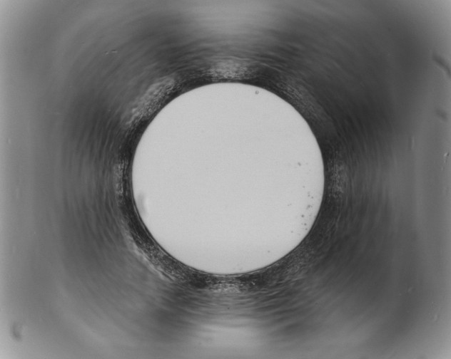 X0000102220738200808221245