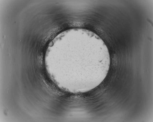 X0000102220739200808221245