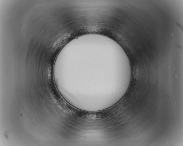 X0000102220740200808221245