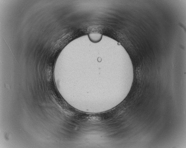 X0000102220741200808221245