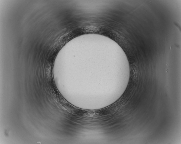 X0000102220745200808221245