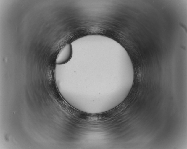 X0000102220746200808221245