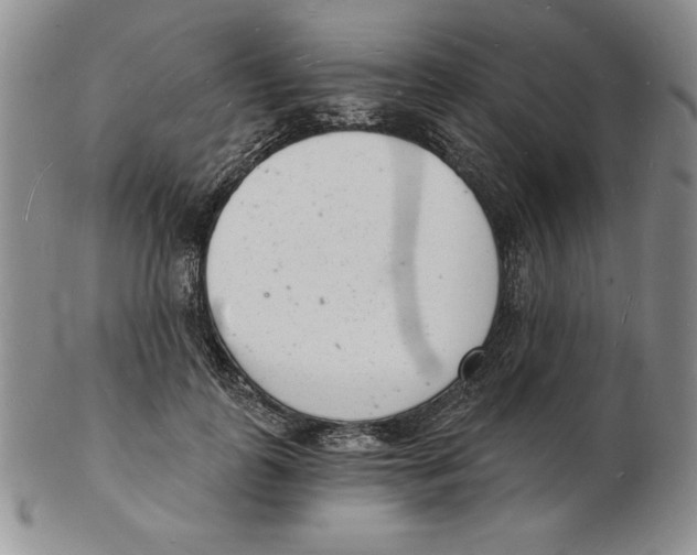 X0000102220747200808221245