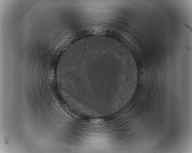 X0000102220748200808221245