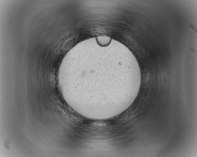 X0000102220749200808221245