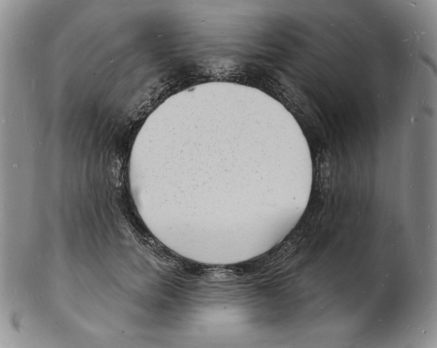 X0000102220750200808221245