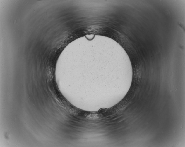 X0000102220751200808221245