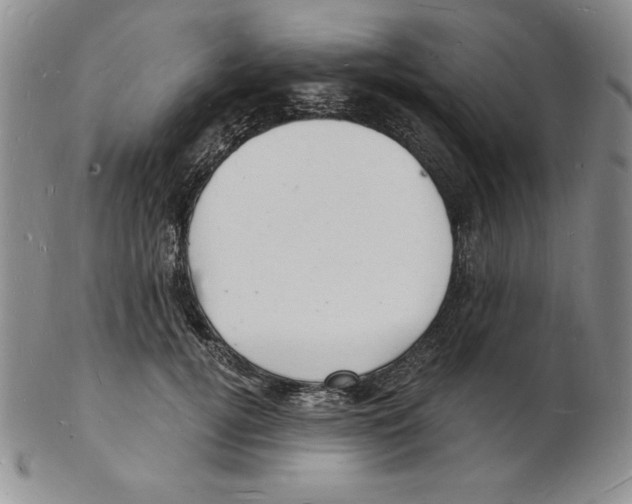 X0000102220752200808221245