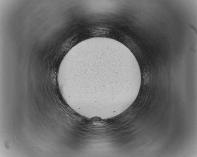 X0000102220753200808221245