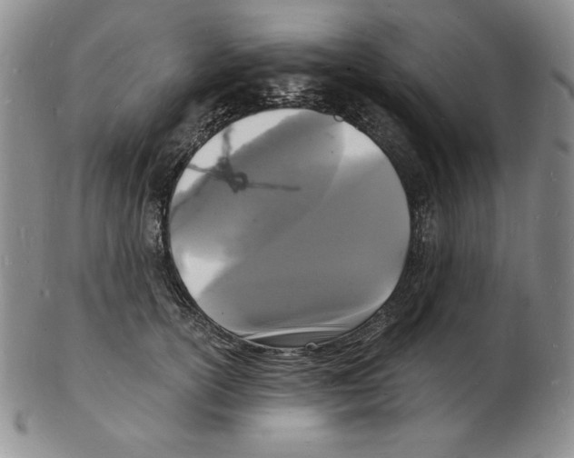 X0000102220754200808221245