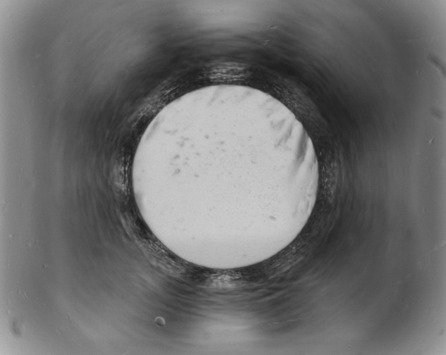 X0000102220755200808221245