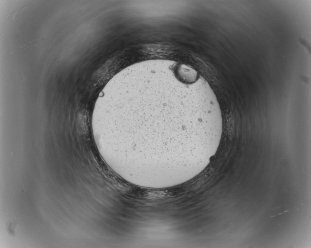 X0000102220757200808221245