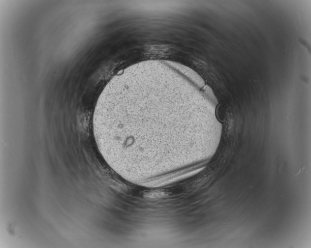 X0000102220759200808221245