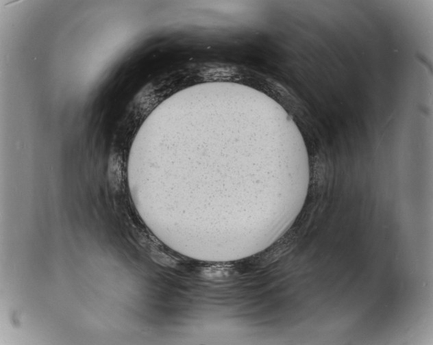 X0000102220761200808221245