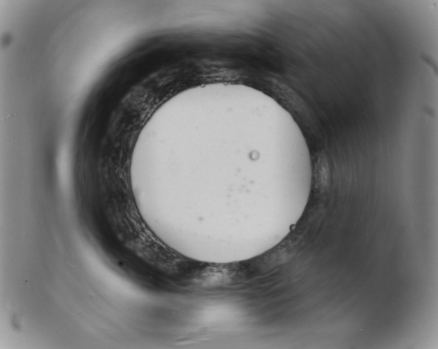 X0000102220764200808221245