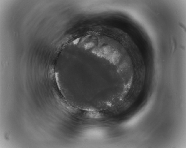 X0000102220767200808221246