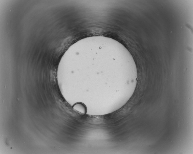 X0000102220768200808221246