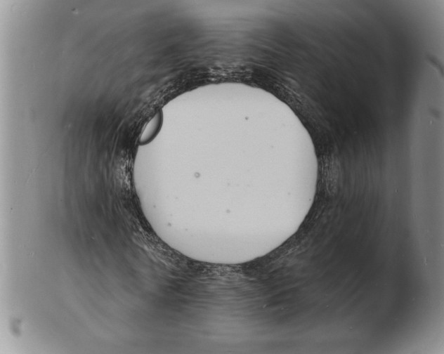 X0000102220770200808221245