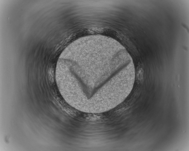 X0000102220772200808221245