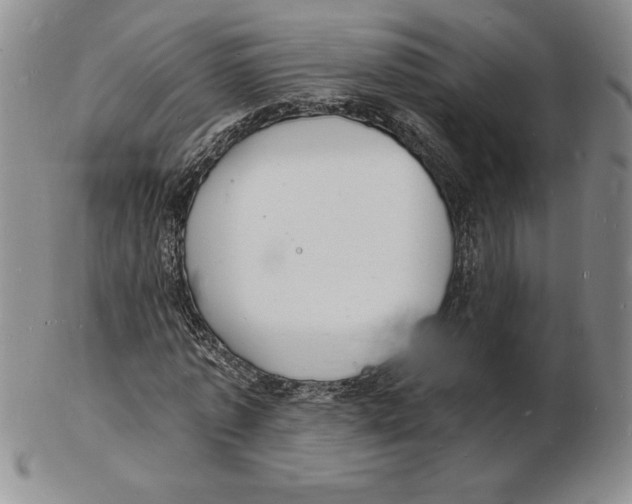 X0000102220773200808221245