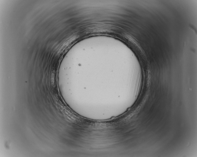 X0000102220777200808221245