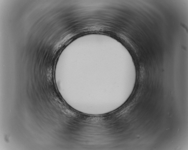 X0000102220778200808221245