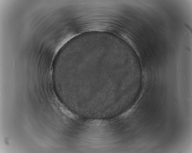 X0000102220779200808221245