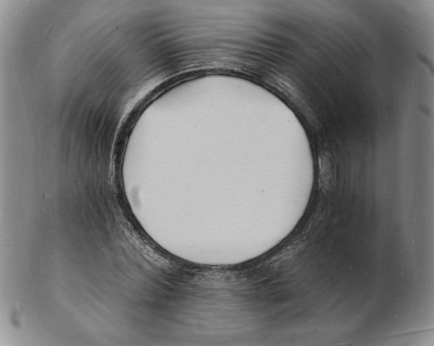 X0000102220780200808221245