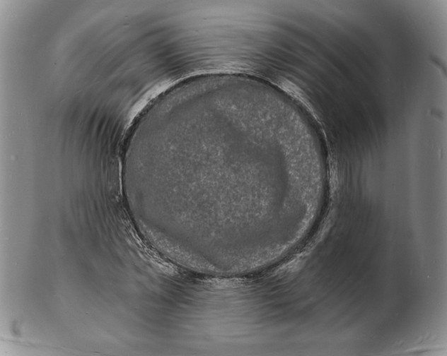 X0000102220781200808221245