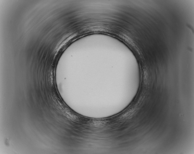 X0000102220782200808221245