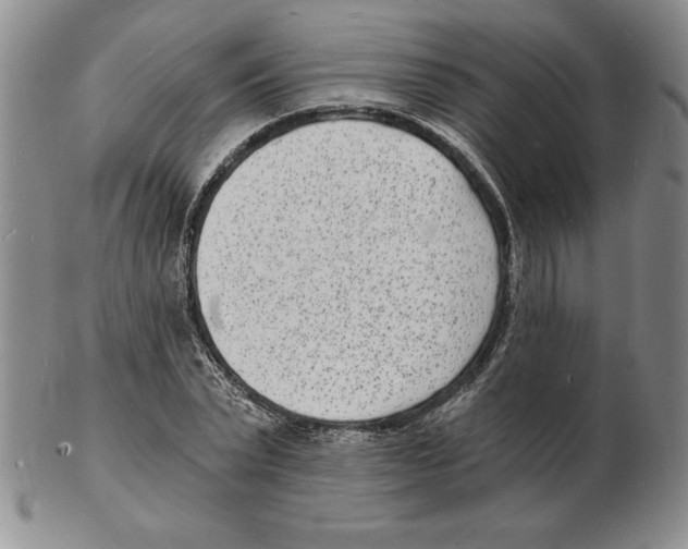 X0000102220783200808221245