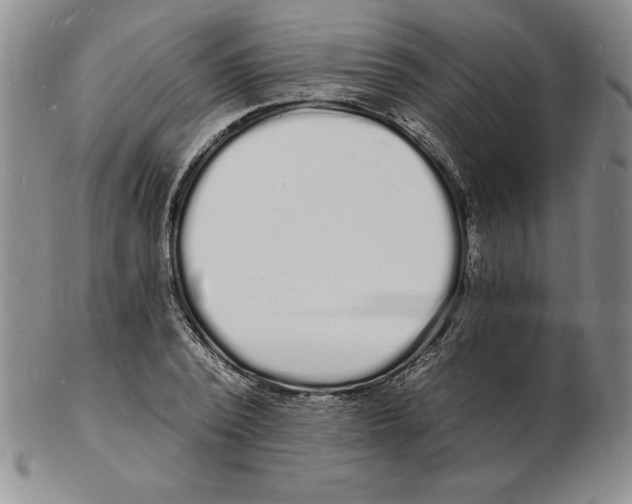 X0000102220784200808221245