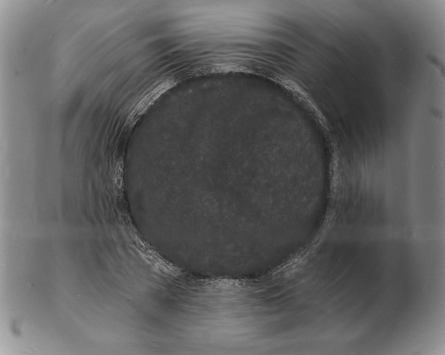 X0000102220785200808221245