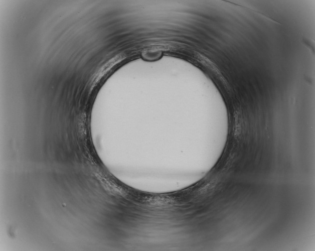 X0000102220786200808221245