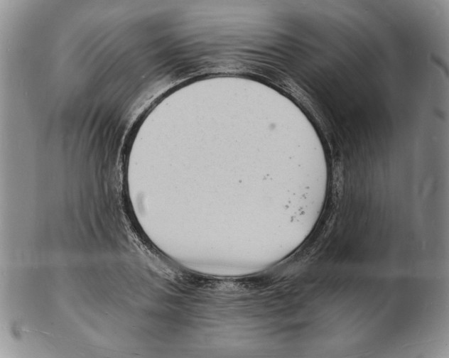 X0000102220787200808221245