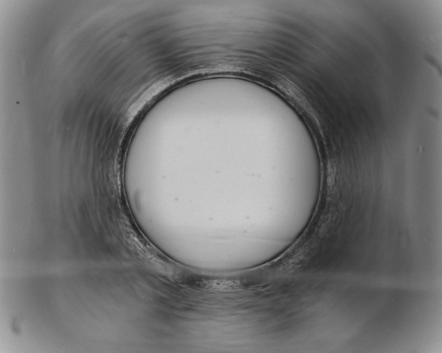 X0000102220789200808221245