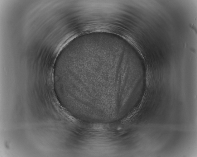 X0000102220790200808221245