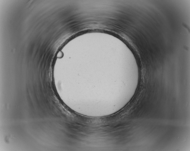 X0000102220791200808221245