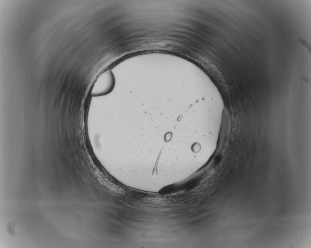 X0000102220792200808221245