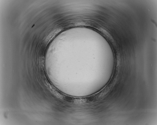 X0000102220793200808221245