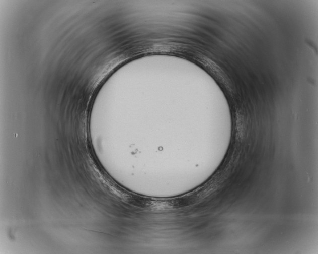 X0000102220794200808221245