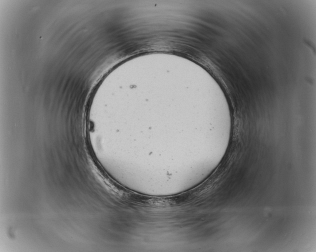 X0000102220795200808221245