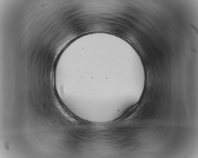 X0000102220796200808221245