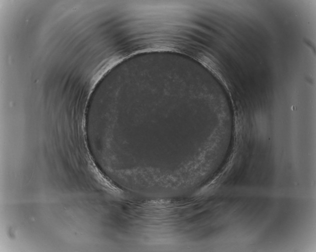 X0000102220797200808221245