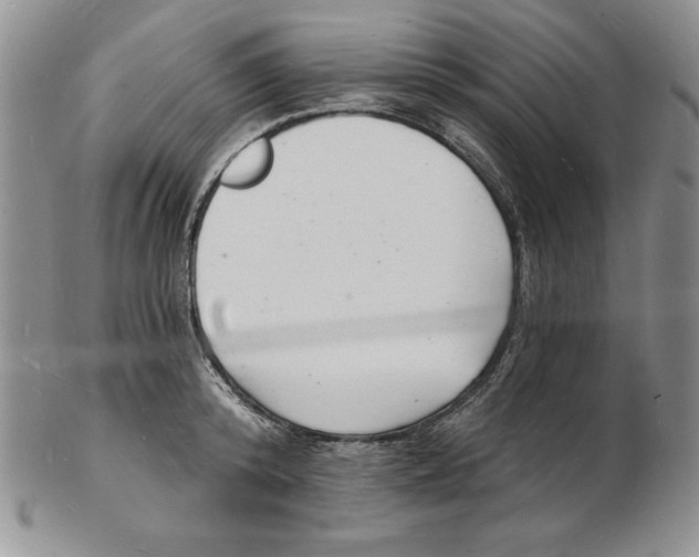 X0000102220800200808221244