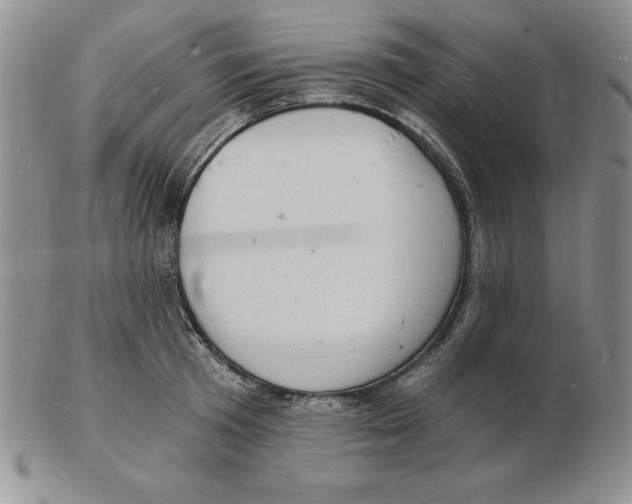 X0000102220801200808221244