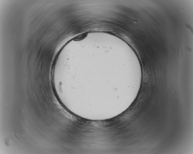 X0000102220803200808221244