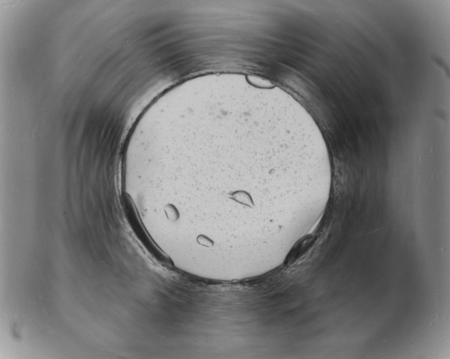 X0000102220804200808221244